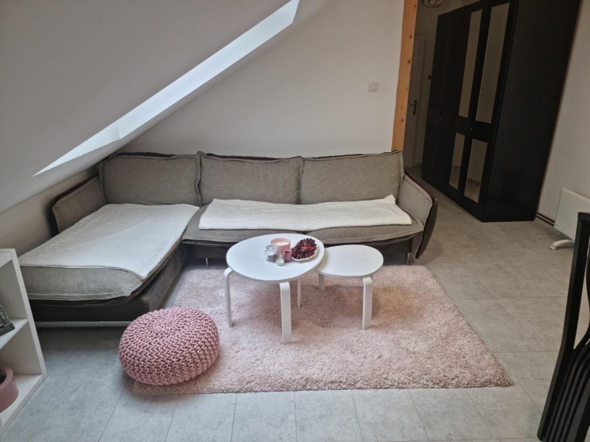 Heart Of Belgrade Cozy Lux Apartment 外观 照片